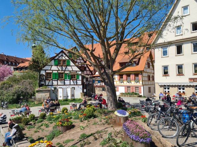 Rottenburg