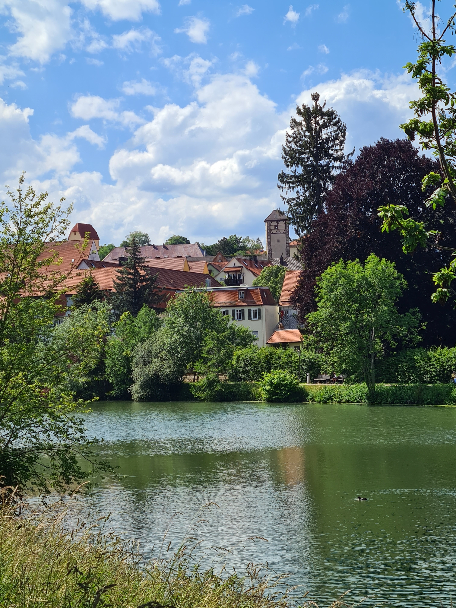 Kalkweilertor Rottenburg
