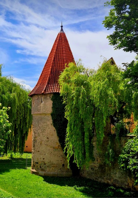 Diebsturm Rottenburg